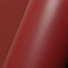 IZY Bottle - Red - 500ml - Zoom-in